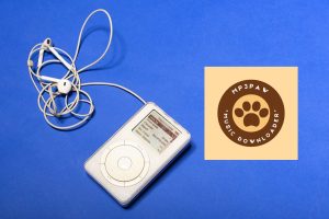 How to use MP3 PAW Download Music