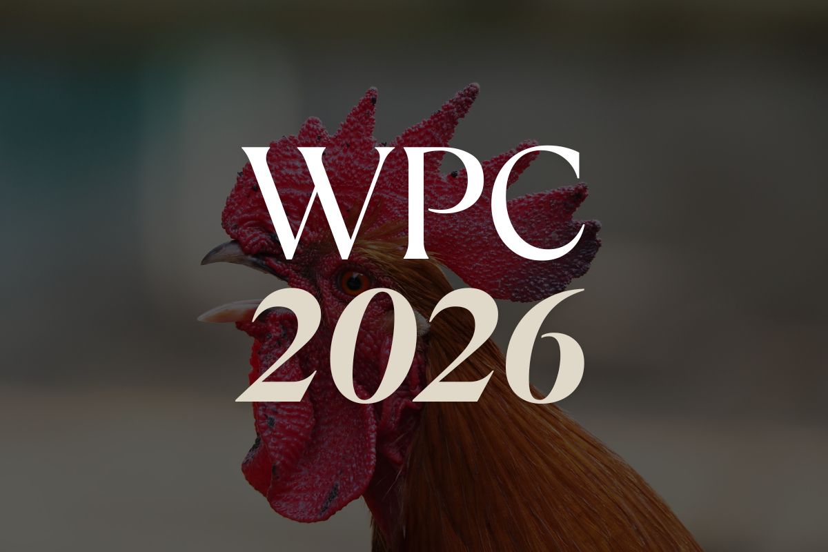 Where to Find the WPC 2026 Live Dashboard