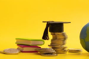 Real-Life Examples of Per Capita Income